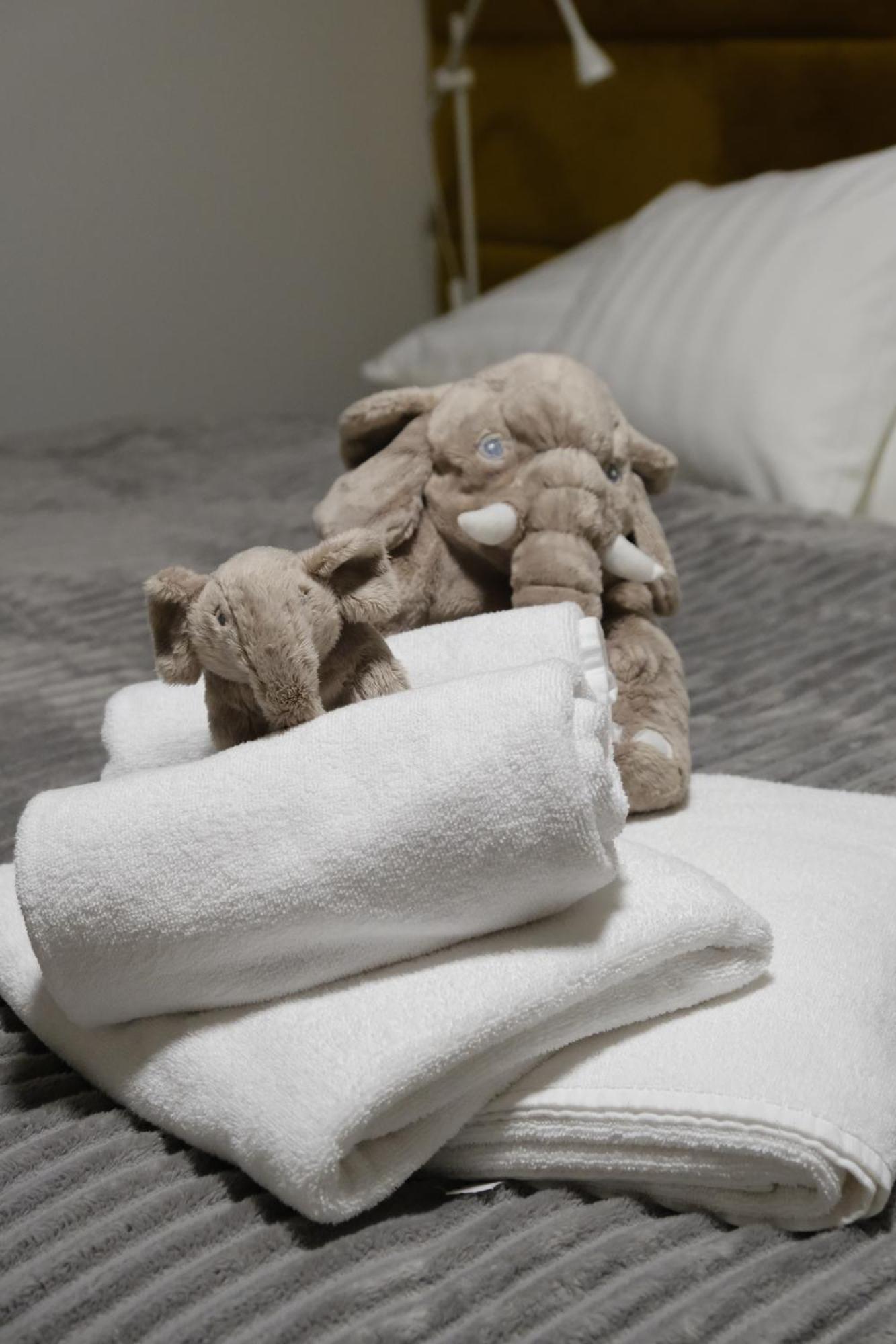 Apartmany U Lesa Dolní Morava 部屋 写真