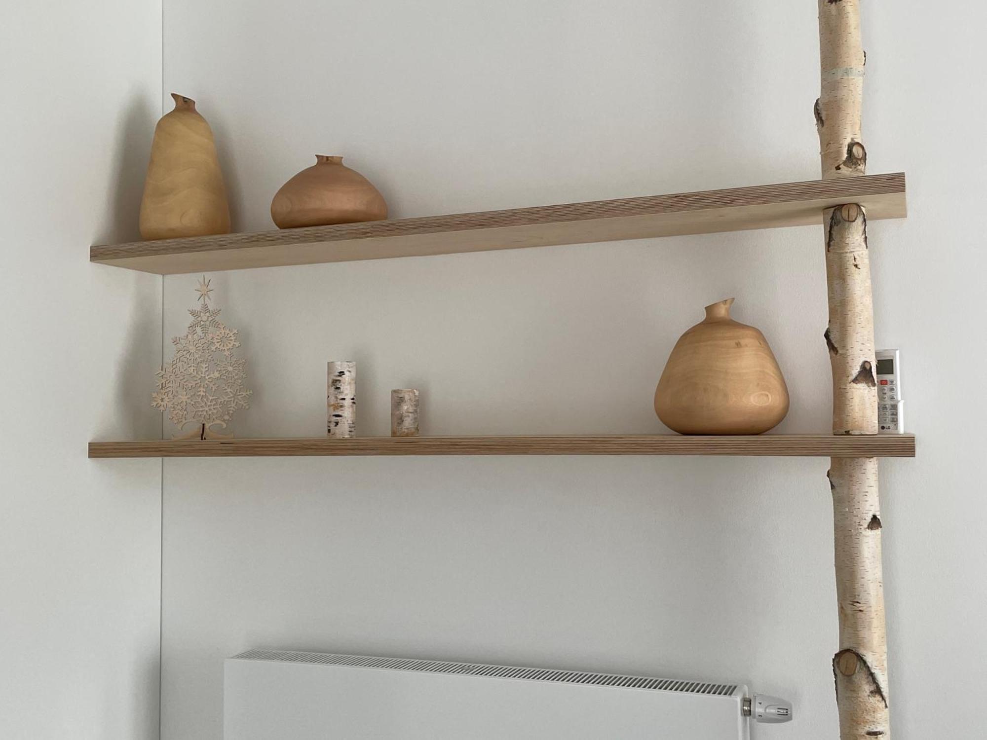 Apartmany U Lesa Dolní Morava 部屋 写真