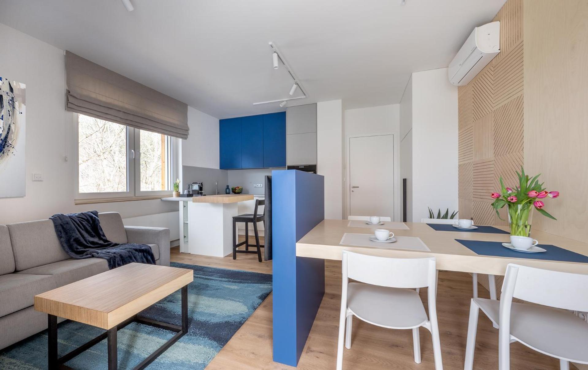 Apartmany U Lesa Dolní Morava 部屋 写真