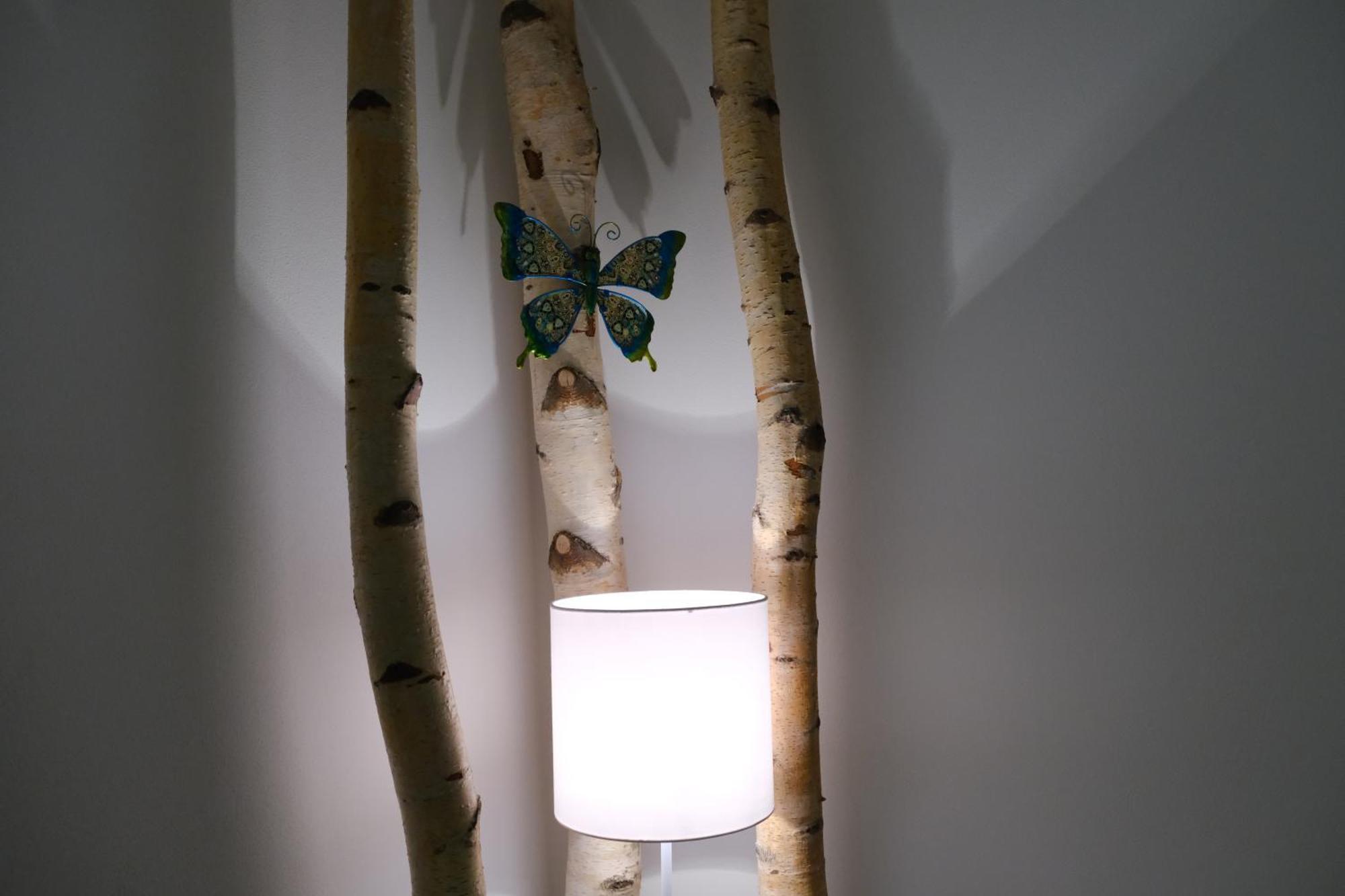 Apartmany U Lesa Dolní Morava 部屋 写真