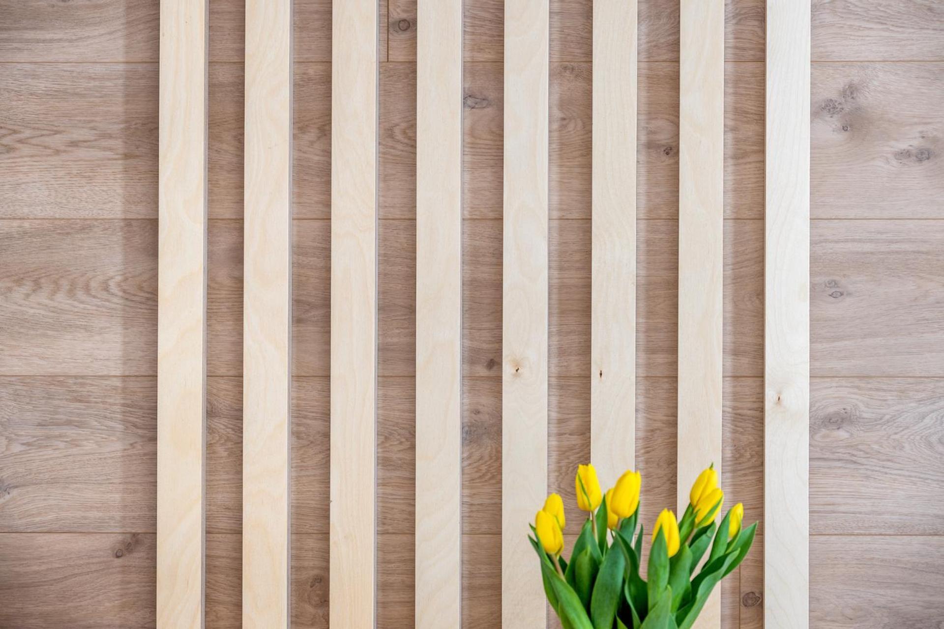 Apartmany U Lesa Dolní Morava 部屋 写真